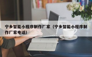 文山宁乡智能小程序制作厂家（宁乡智能小程序制作厂家电话）