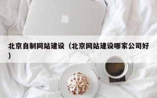 文山北京自制网站建设（北京网站建设哪家公司好）