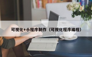 文山可视化+小程序制作（可视化程序编程）